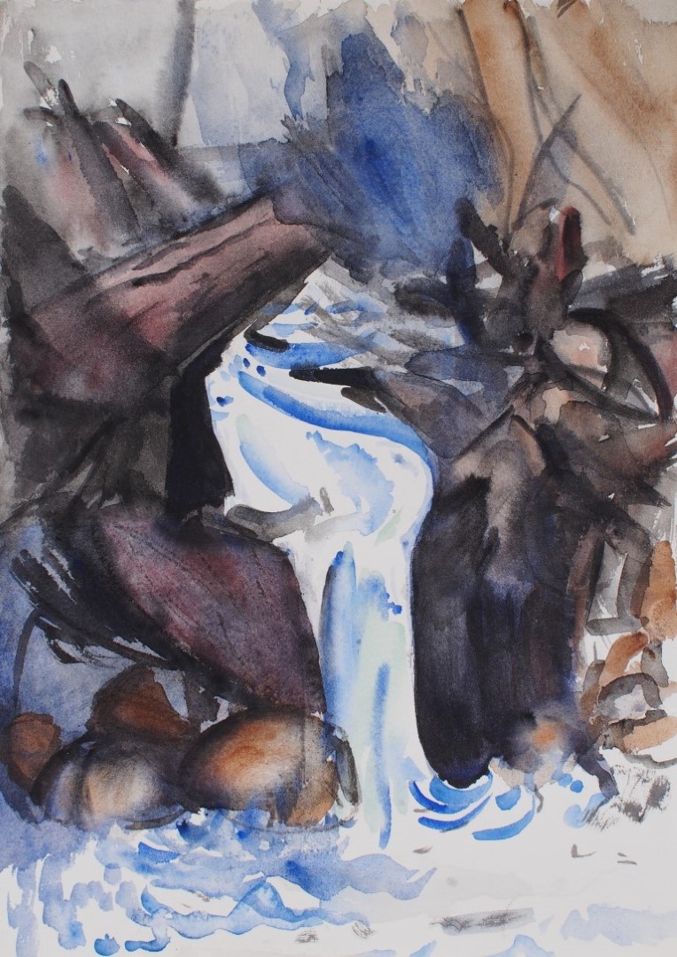 Watercolour painting of waterfall by Francois Hugo