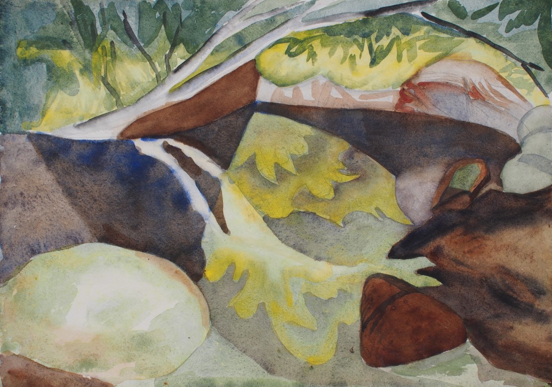 Watercolour painting of pond with rocks and reflections by Francois Hugo