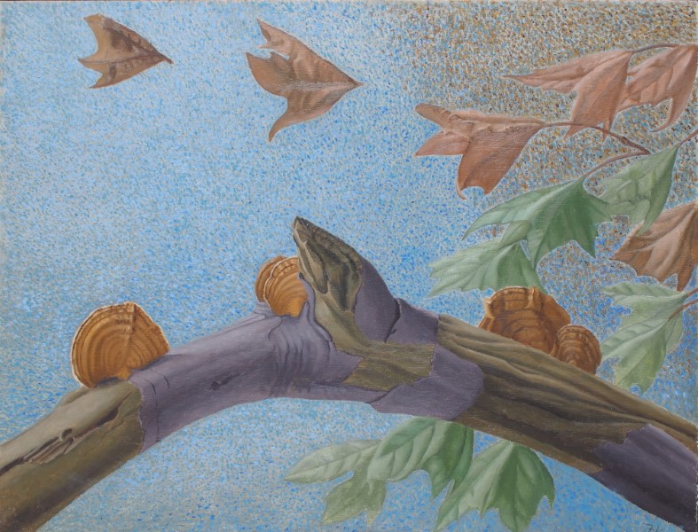 Flying Autumn leaves and a branch with a beautiful fungus painting