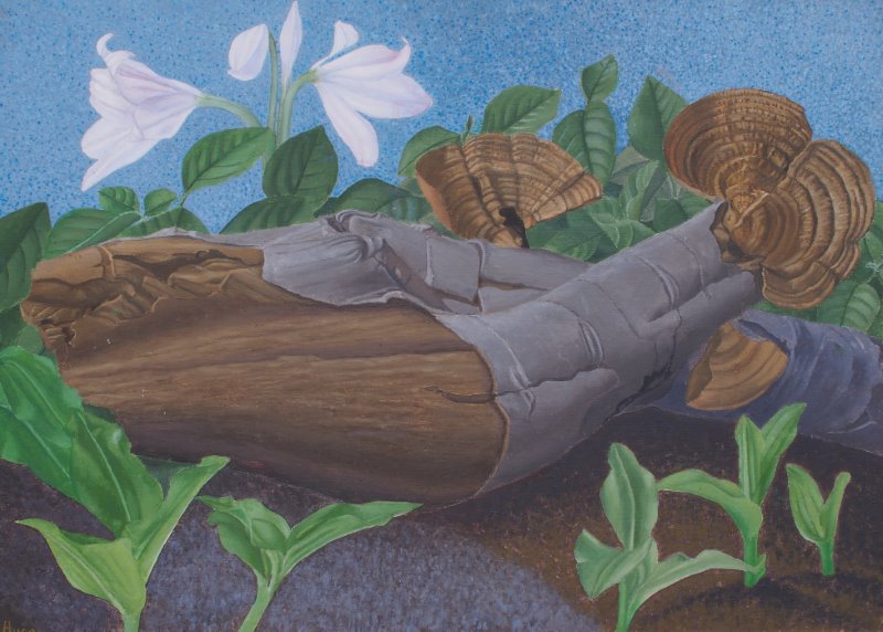 oil painting titled growth decay regeneration with fungus on log and a white lily plant by Francois Hugo