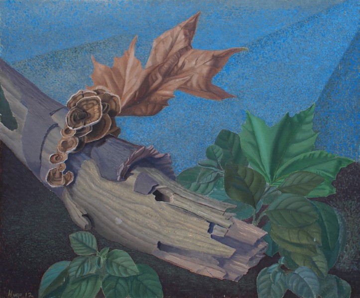 large fungus growing on log like a flower painting